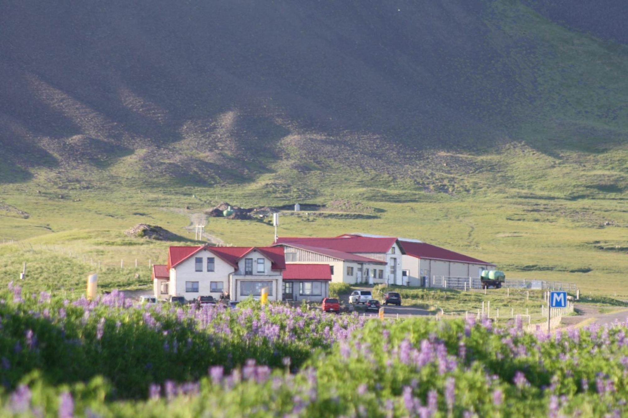 Lysuholl Hotel Snaefellsbaer Exterior photo
